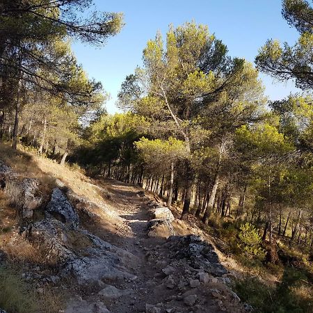 Apartamentos Rurales La Dehesa Del Acebuche Jaén Extérieur photo