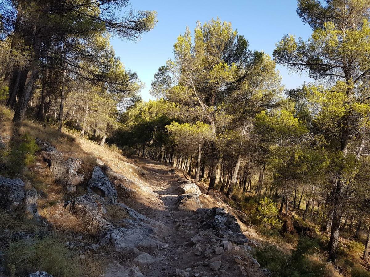 Apartamentos Rurales La Dehesa Del Acebuche Jaén Extérieur photo