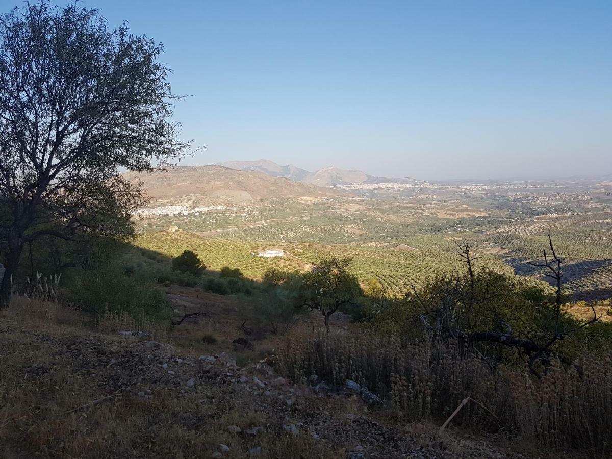 Apartamentos Rurales La Dehesa Del Acebuche Jaén Extérieur photo